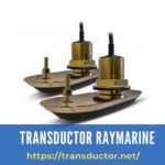 Transductores Raymarine