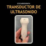 Orientación Del Transductor En Ultrasonido